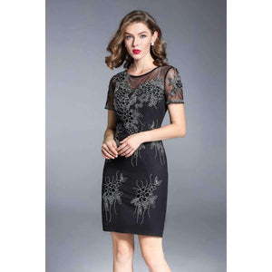 Planet Gates M Party Events Women Fashion Dress 2017 Autumn Ladies Sheer Mesh Embroidery Short Sleeve Bodycon Dress Vestidos Feminino Robe
