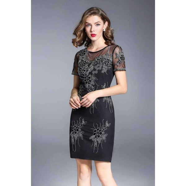 Planet Gates M Party Events Women Fashion Dress 2017 Autumn Ladies Sheer Mesh Embroidery Short Sleeve Bodycon Dress Vestidos Feminino Robe