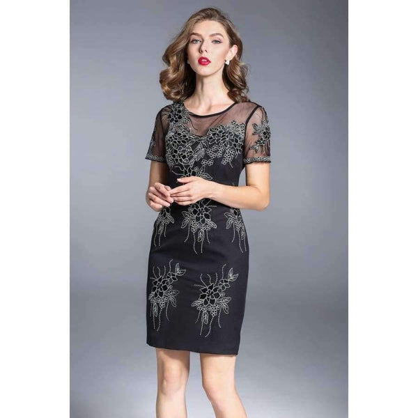 Planet Gates M Party Events Women Fashion Dress 2017 Autumn Ladies Sheer Mesh Embroidery Short Sleeve Bodycon Dress Vestidos Feminino Robe