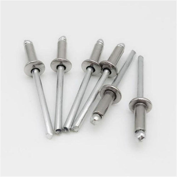 M3.2 Blind Rivets Nail Stainless Steel Mushroon Head Break Mandrel Open Pop Rivet For Furniture Car Aircraft Vis DIN7337