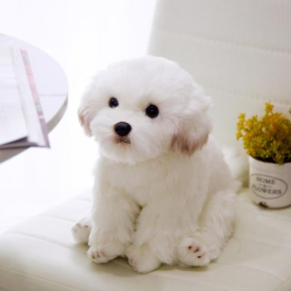 Planet Gates Maltese 38x26x21cm 9 Kinds Dog Simulation Bichon Frise Plush Dog Toy Super Cute Likelife Corgi Dog Doll Stuffed Animal Maltese Dog Puppy Pets Toys