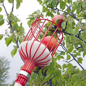 Planet Gates Metal Fruit Picker Practical Multi-functional Classic Texture Gardening Apples Pears Peaches Oranges Fruits Garden Tools
