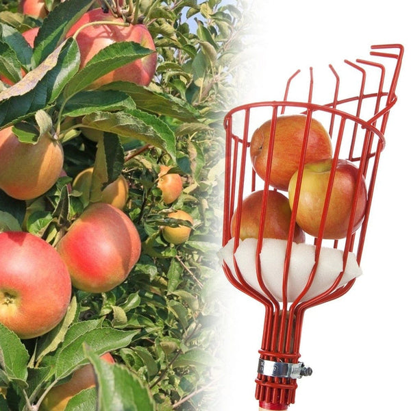 Planet Gates Metal Fruit Picker Practical Multi-functional Classic Texture Gardening Apples Pears Peaches Oranges Fruits Garden Tools