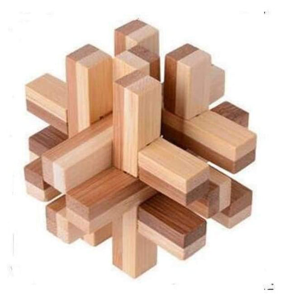 Planet Gates Model 13 Classic IQ Puzzle Mind Brain Teaser 2D 3D Wooden Puzzles Educational Game Toys for Adults Children