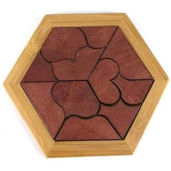 Planet Gates Model 24 Classic IQ Puzzle Mind Brain Teaser 2D 3D Wooden Puzzles Educational Game Toys for Adults Children