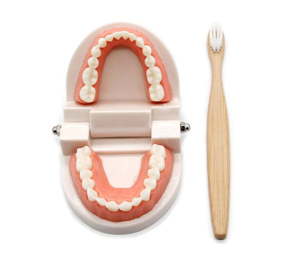 Planet Gates Montessori Educational Toys for Children Early Learning Kids Intelligence Brushing Tooth Teaching Aids Simulated Practical Life