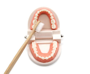 Planet Gates Montessori Educational Toys for Children Early Learning Kids Intelligence Brushing Tooth Teaching Aids Simulated Practical Life