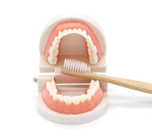 Planet Gates Montessori Educational Toys for Children Early Learning Kids Intelligence Brushing Tooth Teaching Aids Simulated Practical Life