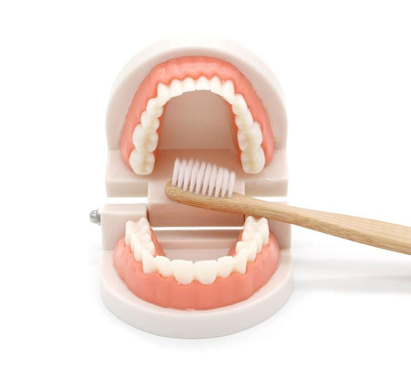 Planet Gates Montessori Educational Toys for Children Early Learning Kids Intelligence Brushing Tooth Teaching Aids Simulated Practical Life