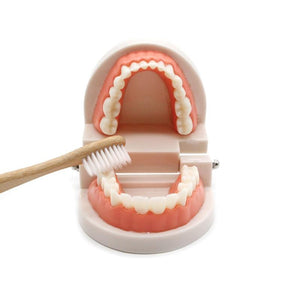 Planet Gates Montessori Educational Toys for Children Early Learning Kids Intelligence Brushing Tooth Teaching Aids Simulated Practical Life