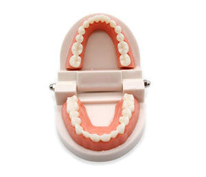 Planet Gates Montessori Educational Toys for Children Early Learning Kids Intelligence Brushing Tooth Teaching Aids Simulated Practical Life