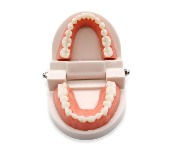 Planet Gates Montessori Educational Toys for Children Early Learning Kids Intelligence Brushing Tooth Teaching Aids Simulated Practical Life