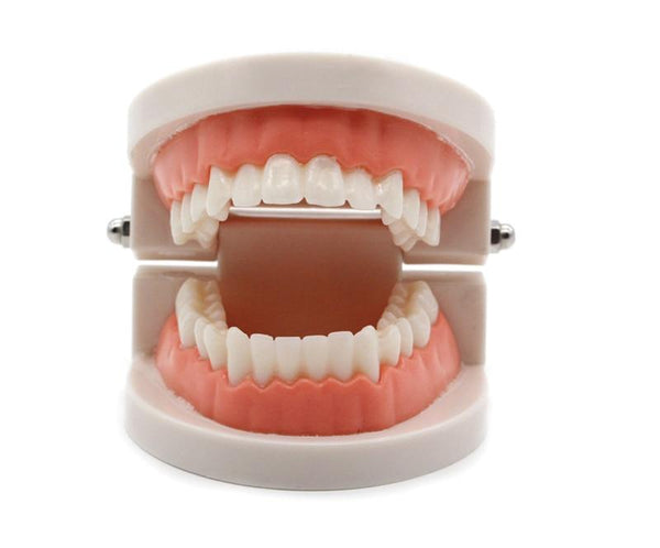 Planet Gates Montessori Educational Toys for Children Early Learning Kids Intelligence Brushing Tooth Teaching Aids Simulated Practical Life