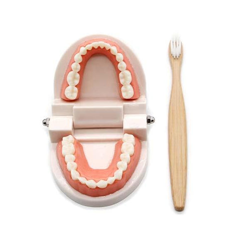 Planet Gates Montessori Educational Toys for Children Early Learning Kids Intelligence Brushing Tooth Teaching Aids Simulated Practical Life