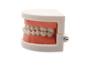 Planet Gates Montessori Educational Toys for Children Early Learning Kids Intelligence Brushing Tooth Teaching Aids Simulated Practical Life