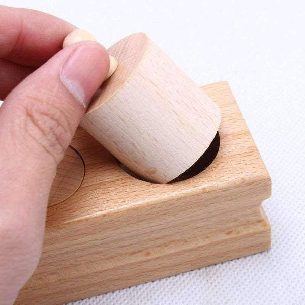 Planet Gates Montessori Educational Wooden Toys Math Cylinder Socket Family Pack Early Learning 4pcs/set