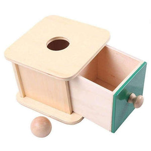 Planet Gates Montessori Kids Toy Baby Wood Ball Matching Box Learning Educational Preschool Training Brinquedos Juguets