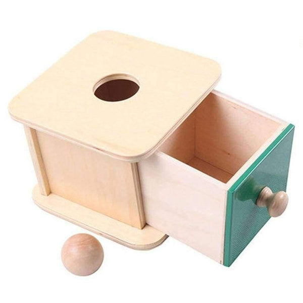 Planet Gates Montessori Kids Toy Baby Wood Ball Matching Box Learning Educational Preschool Training Brinquedos Juguets