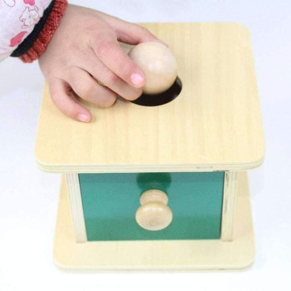 Planet Gates Montessori Kids Toy Baby Wood Ball Matching Box Learning Educational Preschool Training Brinquedos Juguets