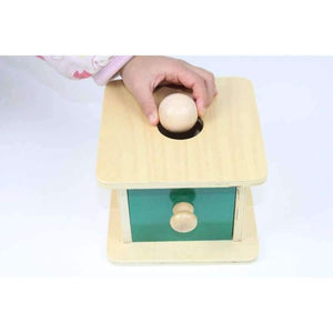 Planet Gates Montessori Kids Toy Baby Wood Ball Matching Box Learning Educational Preschool Training Brinquedos Juguets