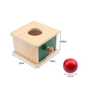 Planet Gates Montessori Materials Match Box Ball Box Coin Box Piggy Bank Set Toys for Toddler Solid Wood Infant Basic Life Skill Toy 8-24 Mon