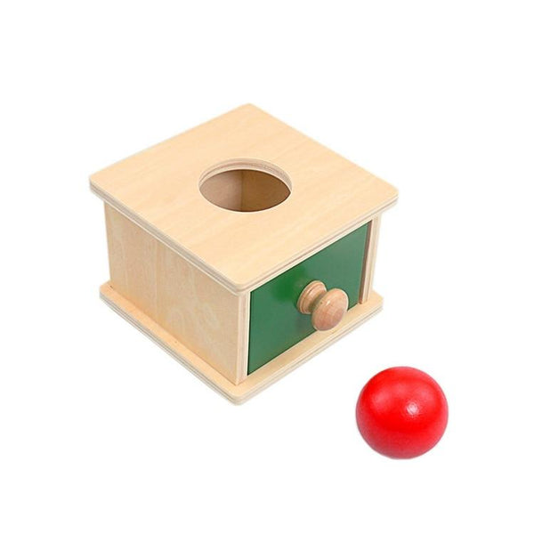Planet Gates Montessori Materials Match Box Ball Box Coin Box Piggy Bank Set Toys for Toddler Solid Wood Infant Basic Life Skill Toy 8-24 Mon