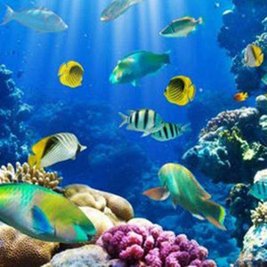 Planet Gates New 1PC UV Germicidal Light For Aquarium Ultraviolet Sterilizer Lamp Submersible Diving Fish Reef Coral Tank Bactericidal lamp