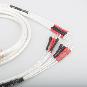 Planet Gates New Hi End 2.5M Nordost Odin Speaker cable Biwire speaker cable banana terminal silver plated hifi speaker