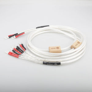 Planet Gates New Hi End 2.5M Nordost Odin Speaker cable Biwire speaker cable banana terminal silver plated hifi speaker
