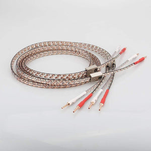 Planet Gates New Pair Viborg VS903 Flat Copper Speaker Audiophile Cable HIFI SPeaker Cable With Pure Copper Plug for Home Theater