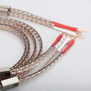 Planet Gates New Pair Viborg VS903 Flat Copper Speaker Audiophile Cable HIFI SPeaker Cable With Pure Copper Plug for Home Theater