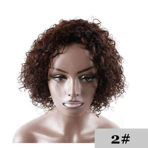 Planet Gates None Lace / 10inches / #2 Short Human Hair Wigs For Black Women 150% Density Side Part hair extensions Wigs Brazilian Remy Afro Kinky Curly Wigs KEMY HAIR