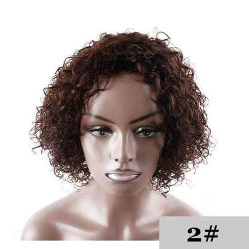Planet Gates None Lace / 10inches / #2 Short Human Hair Wigs For Black Women 150% Density Side Part hair extensions Wigs Brazilian Remy Afro Kinky Curly Wigs KEMY HAIR