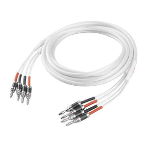 Planet Gates One Pair  HIFI Silver-plated Speaker Cable High-end 5N OCC Speaker Wire For Hi-fi Systems Y Plug Banana plug Speaker Cable