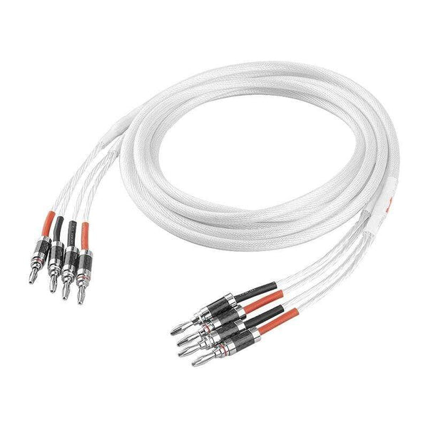 Planet Gates One Pair  HIFI Silver-plated Speaker Cable High-end 5N OCC Speaker Wire For Hi-fi Systems Y Plug Banana plug Speaker Cable