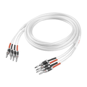 Planet Gates One Pair  HIFI Silver-plated Speaker Cable High-end 5N OCC Speaker Wire For Hi-fi Systems Y Plug Banana plug Speaker Cable