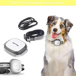 Planet Gates ORANGE Wireless GPS Pet Finder Waterproof Pet Dog Cat Collar Anti-Lost Tracker
