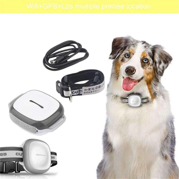 Planet Gates ORANGE Wireless GPS Pet Finder Waterproof Pet Dog Cat Collar Anti-Lost Tracker