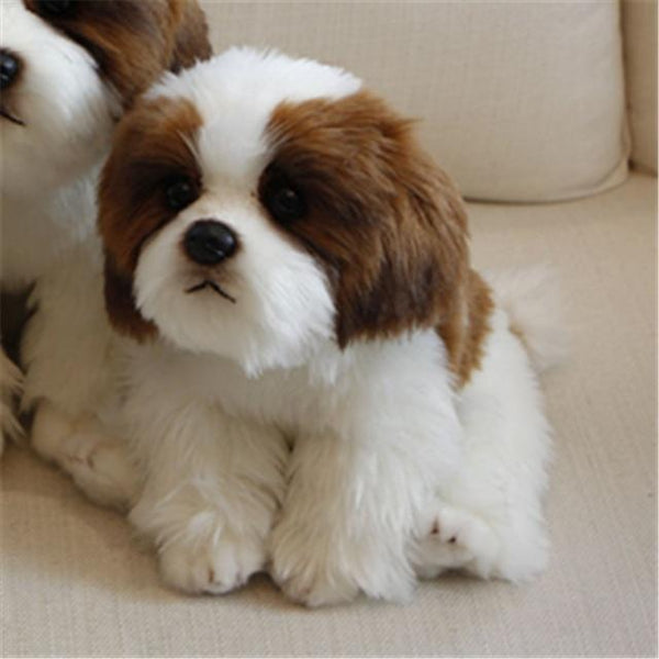 Planet Gates Papillon 24x16x21cm 9 Kinds Dog Simulation Bichon Frise Plush Dog Toy Super Cute Likelife Corgi Dog Doll Stuffed Animal Maltese Dog Puppy Pets Toys