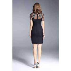 Planet Gates Party Events Women Fashion Dress 2017 Autumn Ladies Sheer Mesh Embroidery Short Sleeve Bodycon Dress Vestidos Feminino Robe