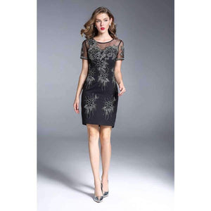 Planet Gates Party Events Women Fashion Dress 2017 Autumn Ladies Sheer Mesh Embroidery Short Sleeve Bodycon Dress Vestidos Feminino Robe
