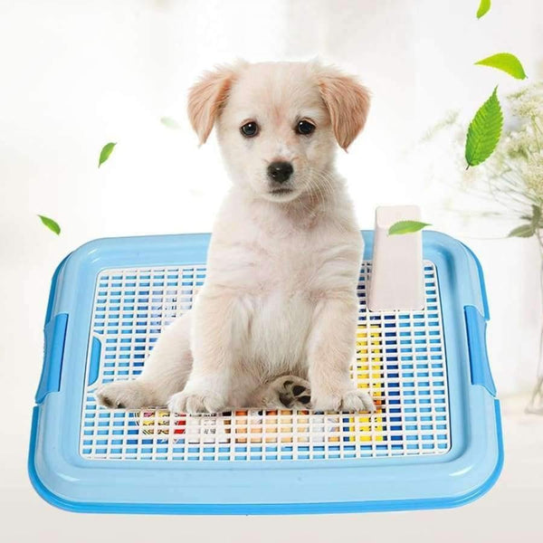 Planet Gates Pet Toilet for Dogs Cat Animals Lattice Dog Toilet Pet Shop Clean Goods for Small Dogs Puppy Pet Supplies Dogs Pets Accessories