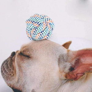 Planet Gates Pet Toys For Dog Cat Resistent Puppy Chew Bite Products Pets Play Training