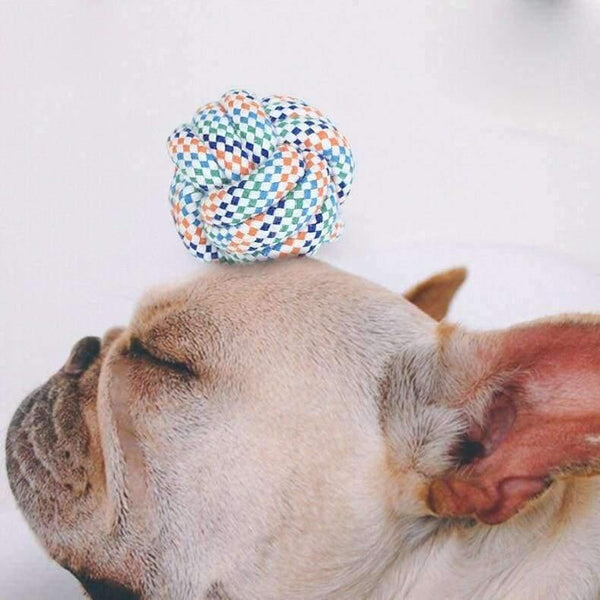 Planet Gates Pet Toys For Dog Cat Resistent Puppy Chew Bite Products Pets Play Training