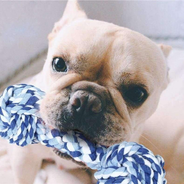 Planet Gates Pet Toys For Dog Cat Resistent Puppy Chew Bite Products Pets Play Training