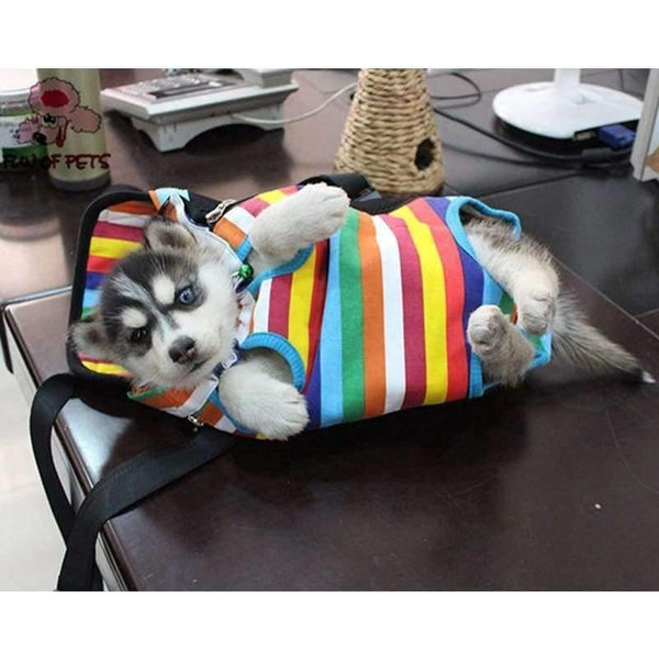 Planet Gates Pet Travel Bag Cat Carrier Bag for Small Dogs Pet Weight 0-10kg Five Holes Backpack Front Chest Backpack  Rainbow