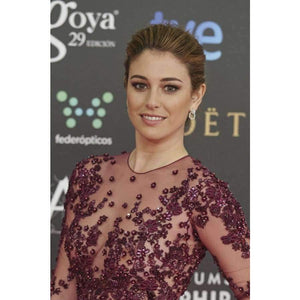 Planet Gates Pink / 18 Purple Long Sleeve Scoop Evening Gowns Woman Celebrity Dress Red Cerpet Dresses Satin A line Evening Dresses