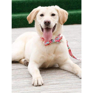 Planet Gates Pink Dog Collar and Leash Set with Bow Tie for Big and Small Dog Cotton Fabric Collar Rose Gold Metal  Buckle  Pet Products