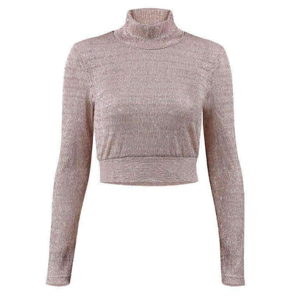 Planet Gates Pink / L Fashion Women T Shirt See Through Mesh Cropped Tops tshirt 2017 Transparent Turtleneck Long Sleeve Tee Tops blusa Casual