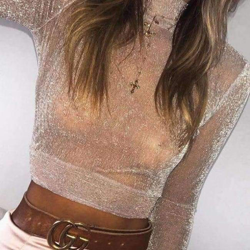 Planet Gates Pink / L Fashion Women T Shirt See Through Mesh Cropped Tops tshirt 2017 Transparent Turtleneck Long Sleeve Tee Tops blusa Casual